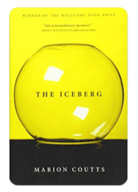 The Iceberg