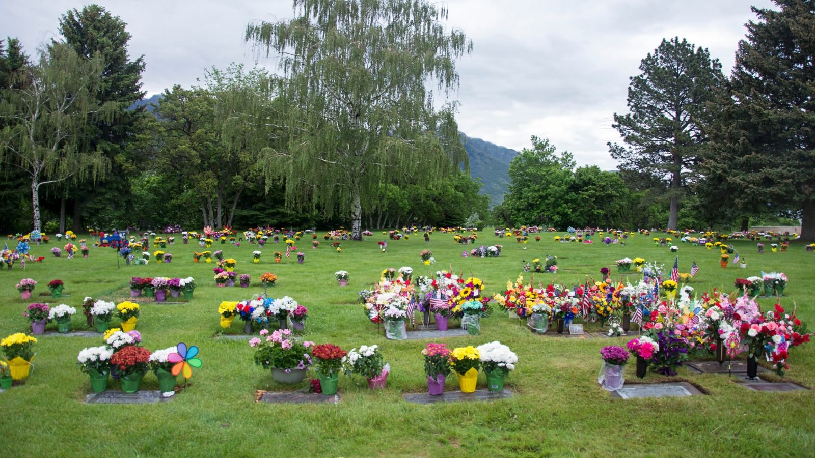 MM_Cemetery Symbolism Content Edit