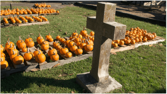 Pumpkins