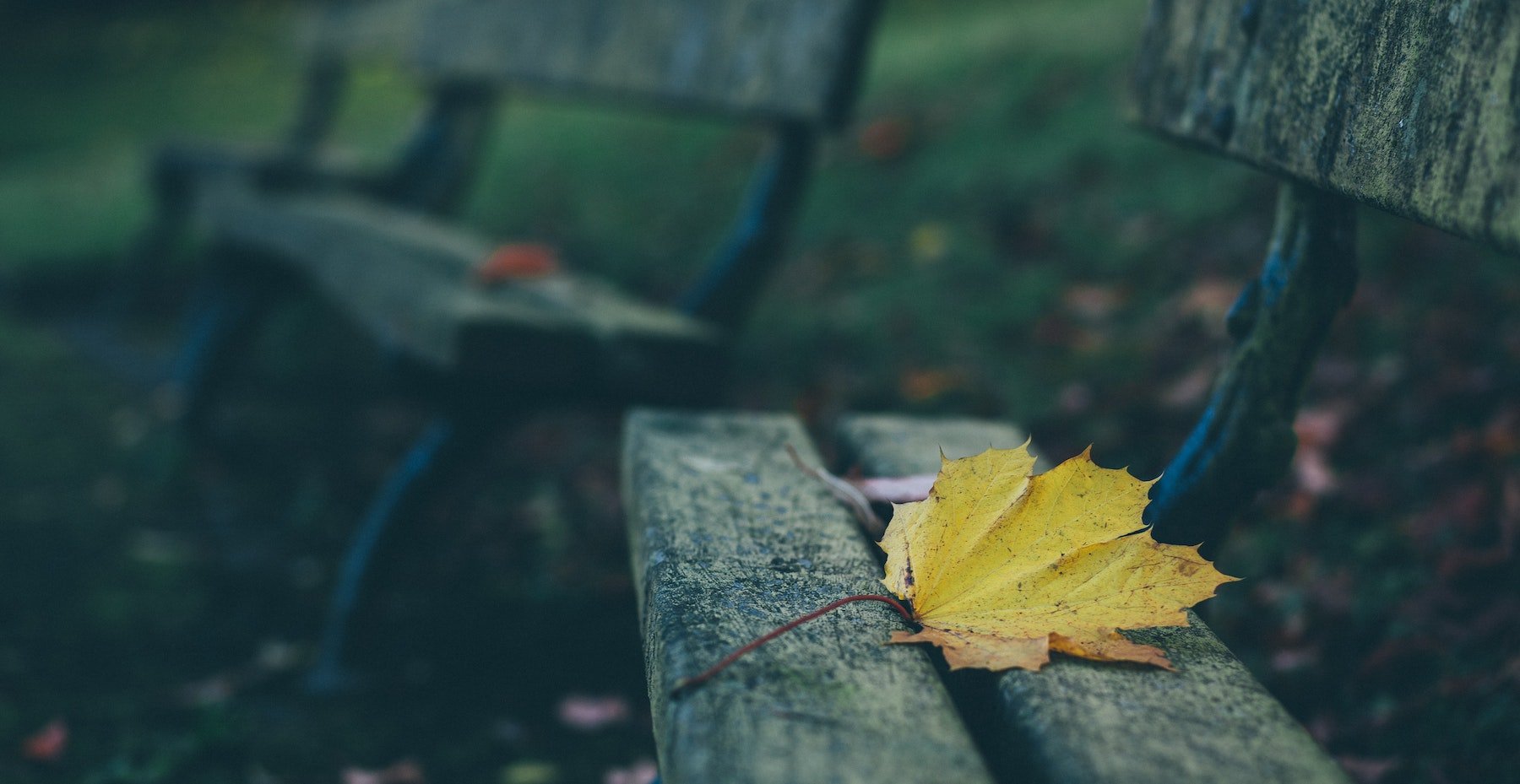 memorial bench with a yellow leaf on it